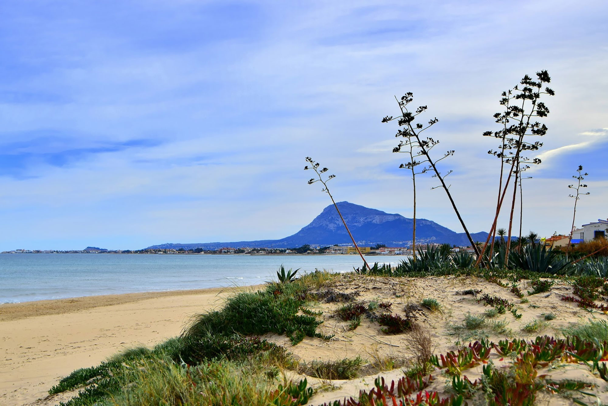 Los Llanos — photo 2